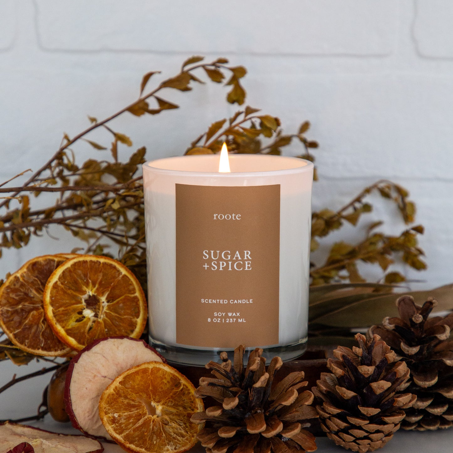 Sugar + Spice Soy Candle *NEW*